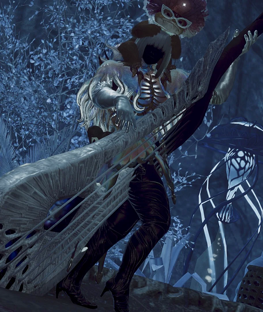 Companion of the Void