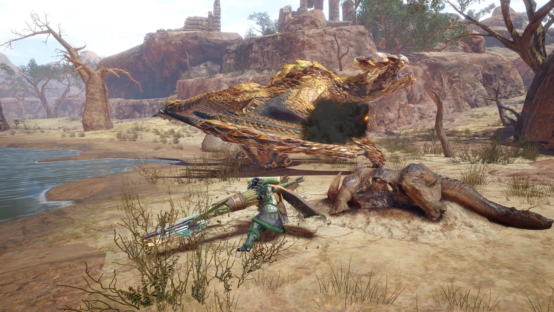 The Desert Hawk