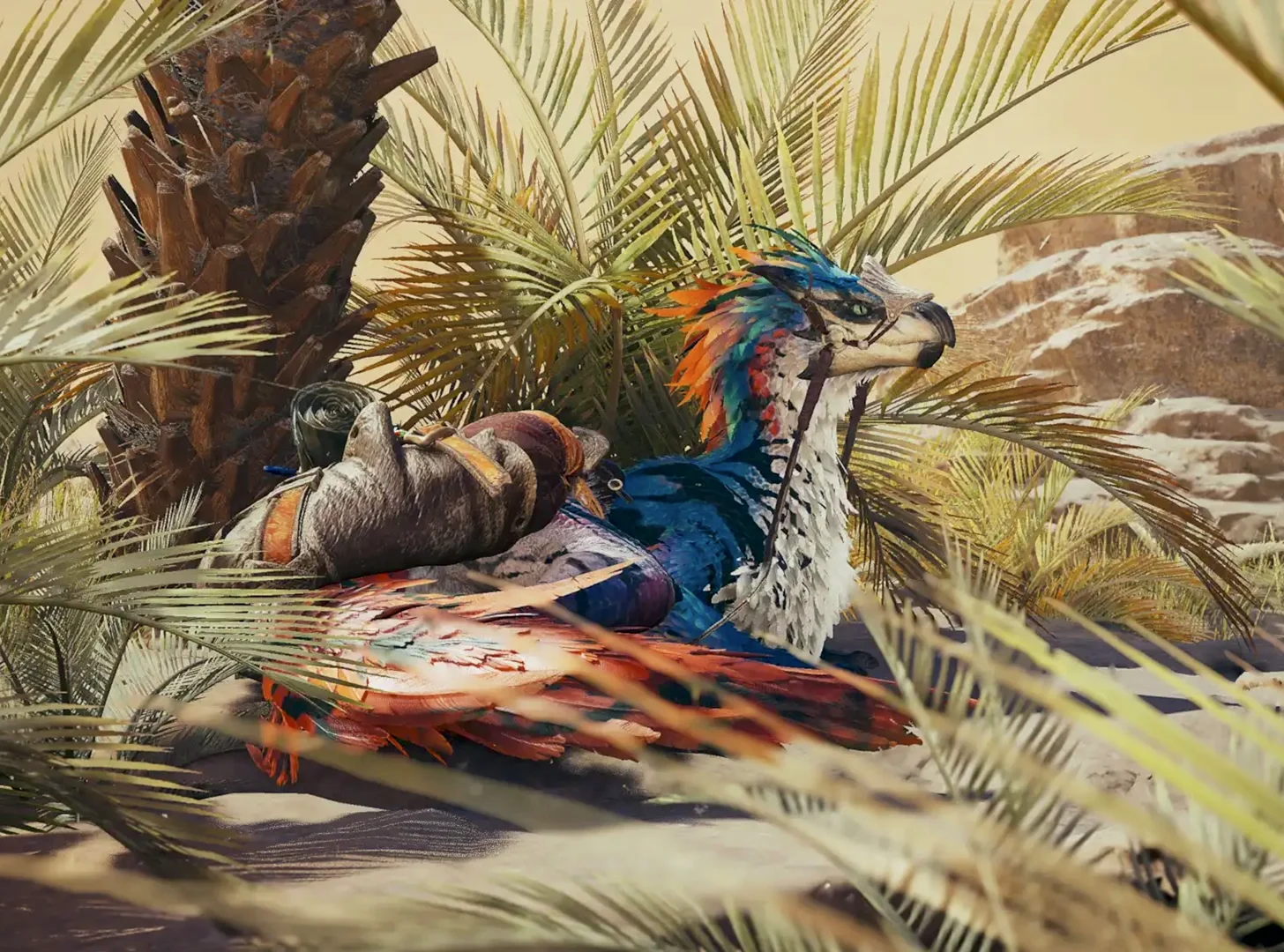 “Socotra”