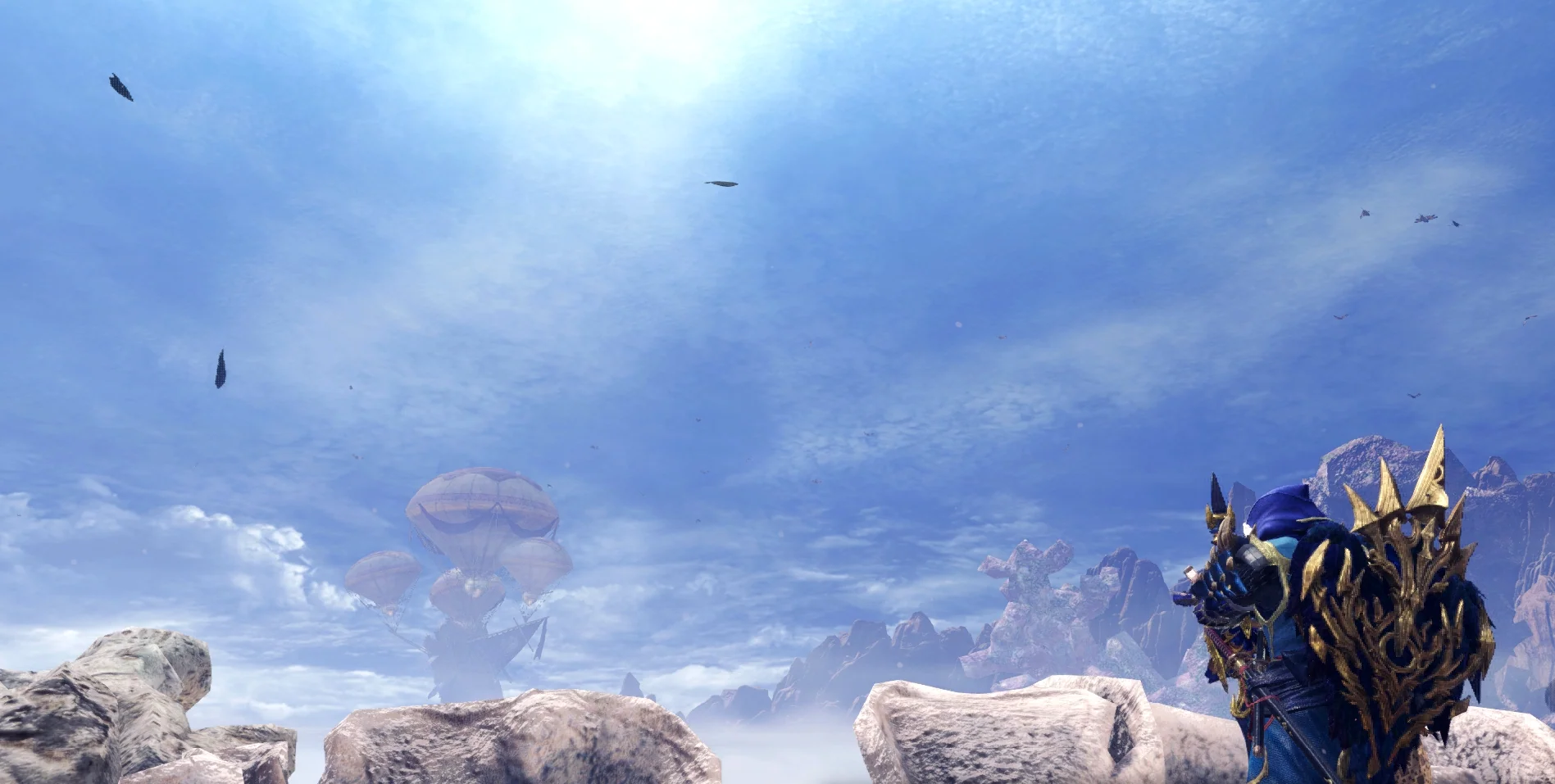 Beauty of Coral Highlands 1