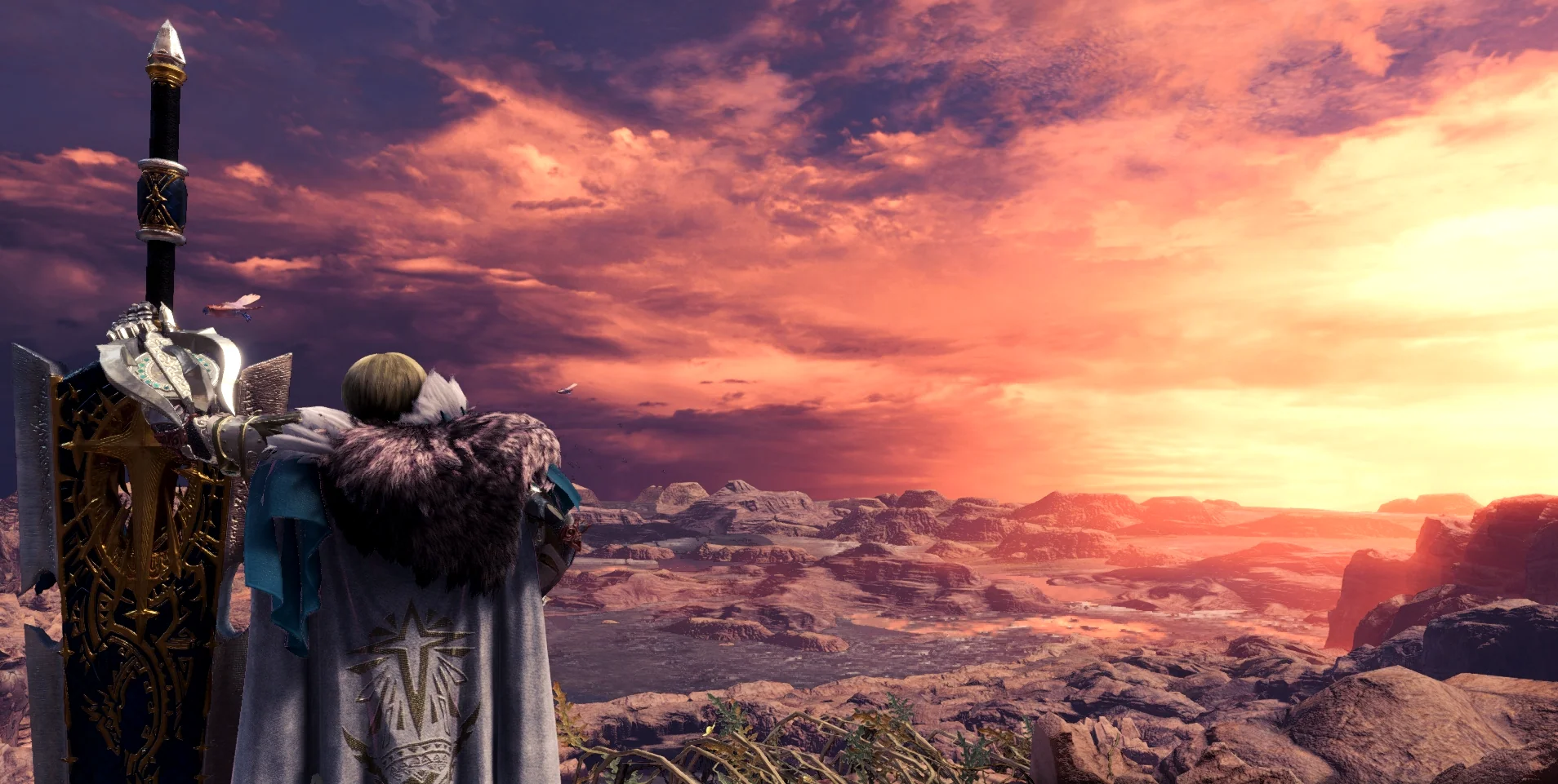 Beauty of Wildspire Wastes 1