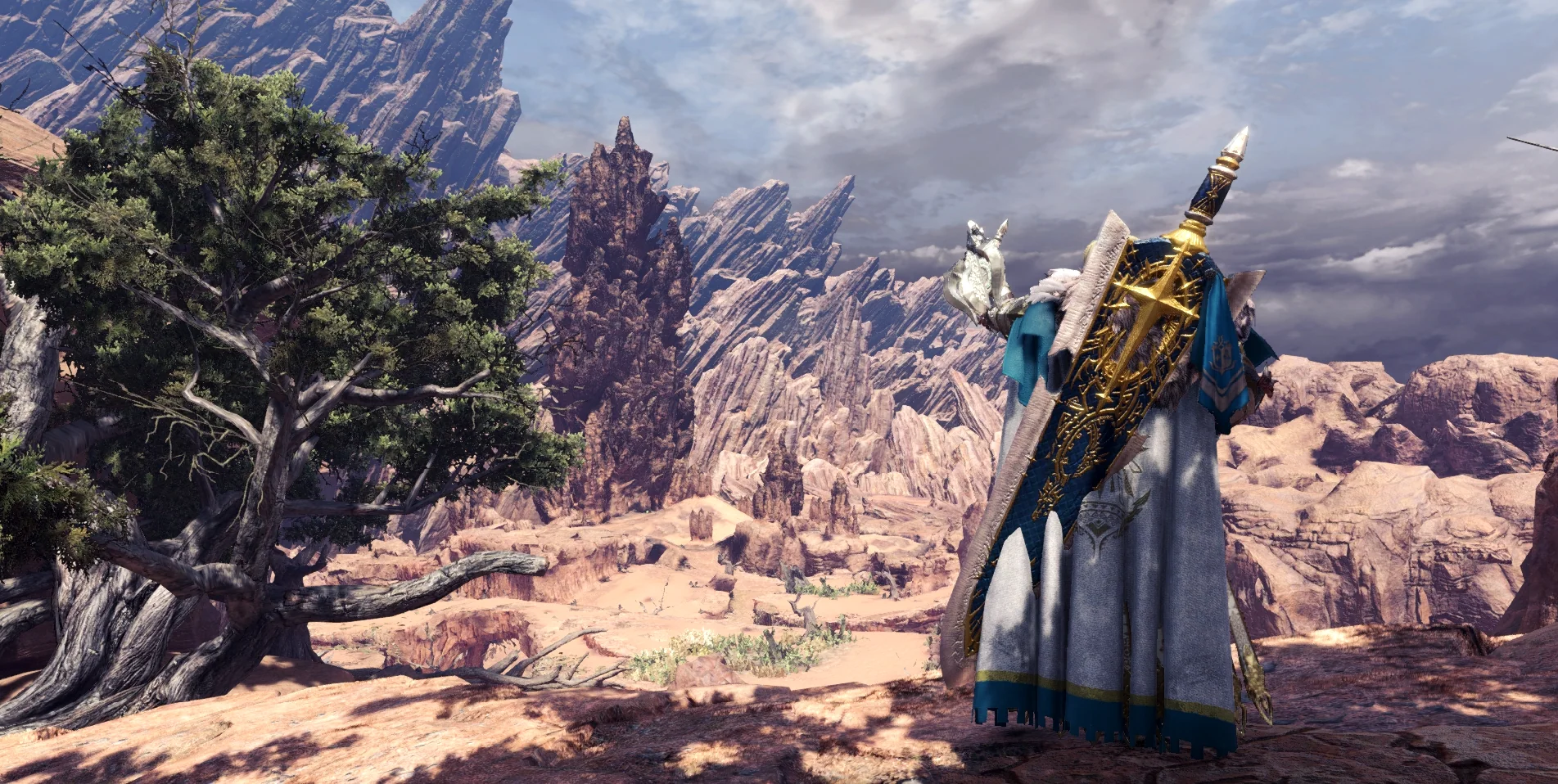 Beauty of Wildspire Wastes 2